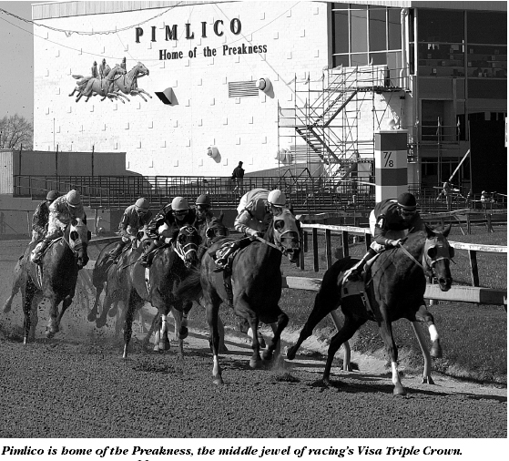 Pimlico is bome of the Preakness, the middle jewel of racing's Vista Triple Crown.
